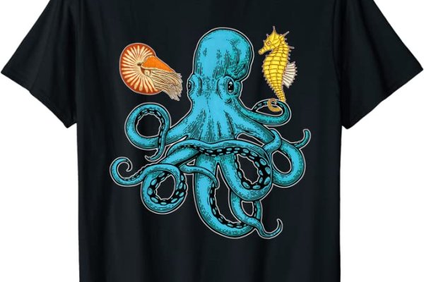 Kraken onion link